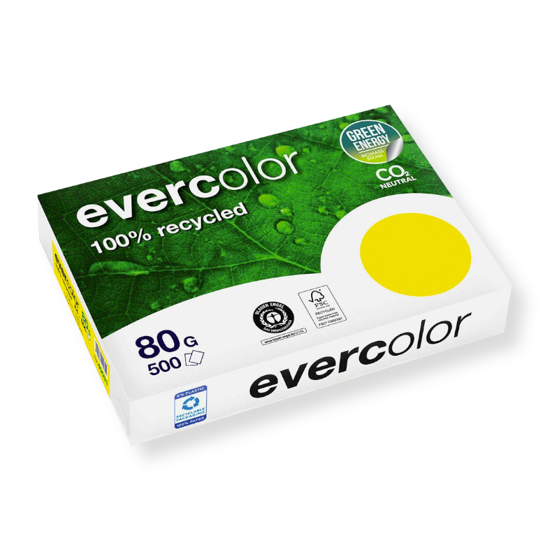 evercolor_zitrone