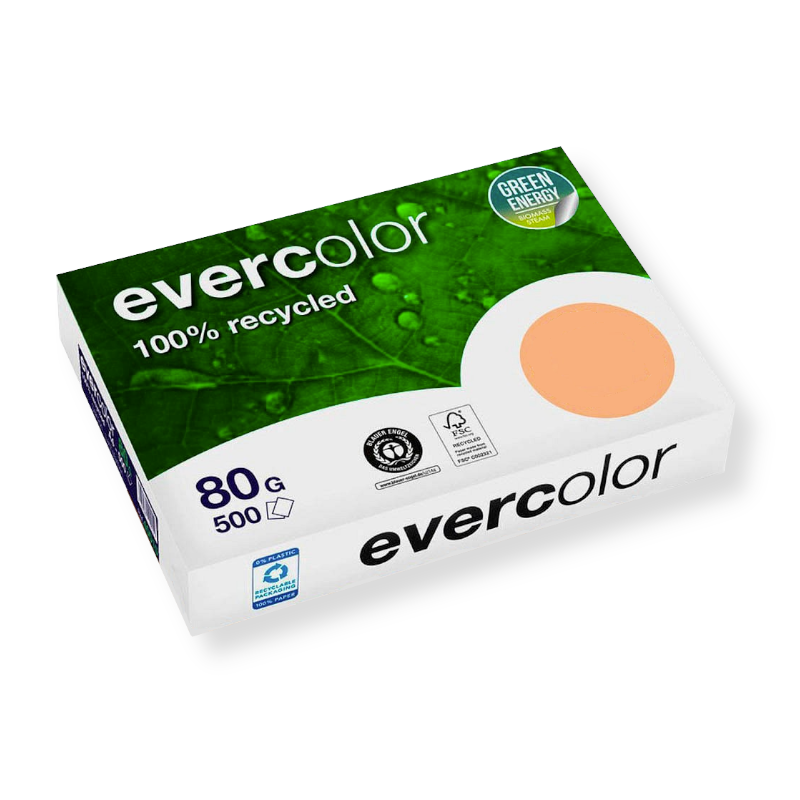 evercolor_lachs