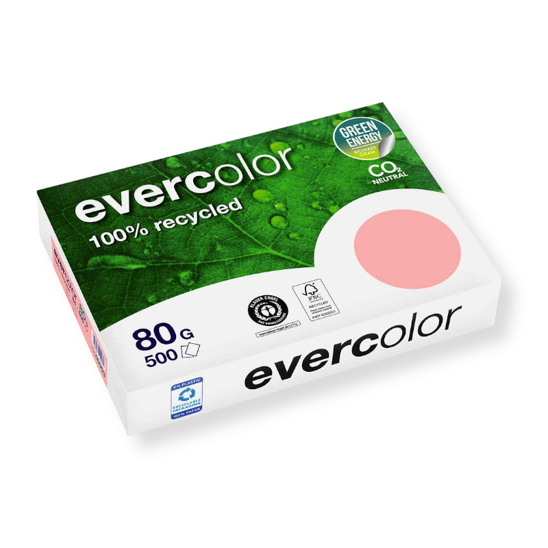 evercolor_rose